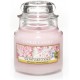 Yankee Candle Candela profumata in giara piccola  Lampone rosso  Durata Fino a 30 Ore 