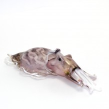 Scultura Seppia