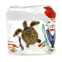 Acquario Tartaruga